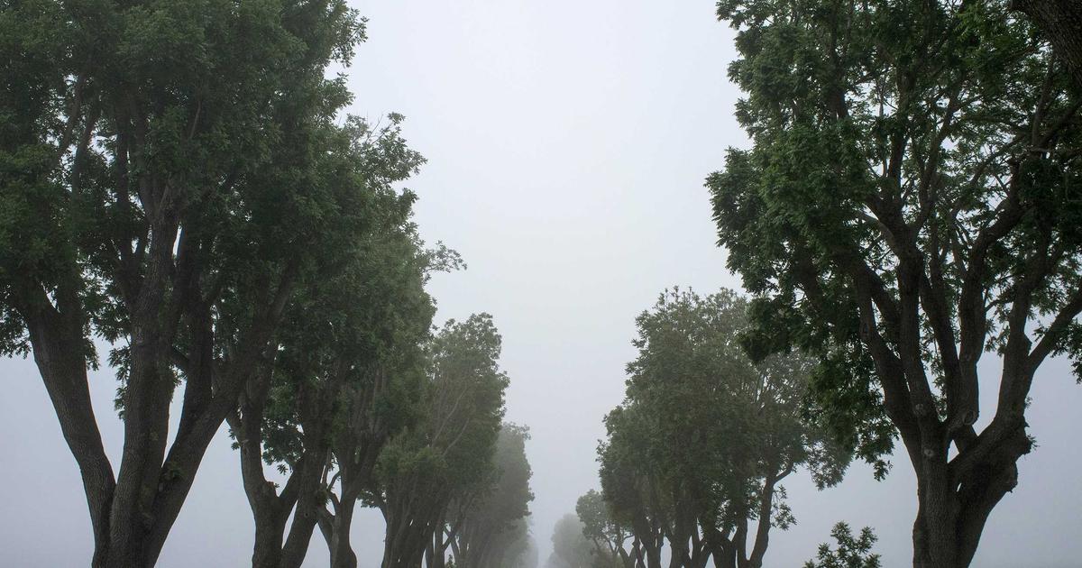 Topraksız Tarıma Başlangıç Rehberi