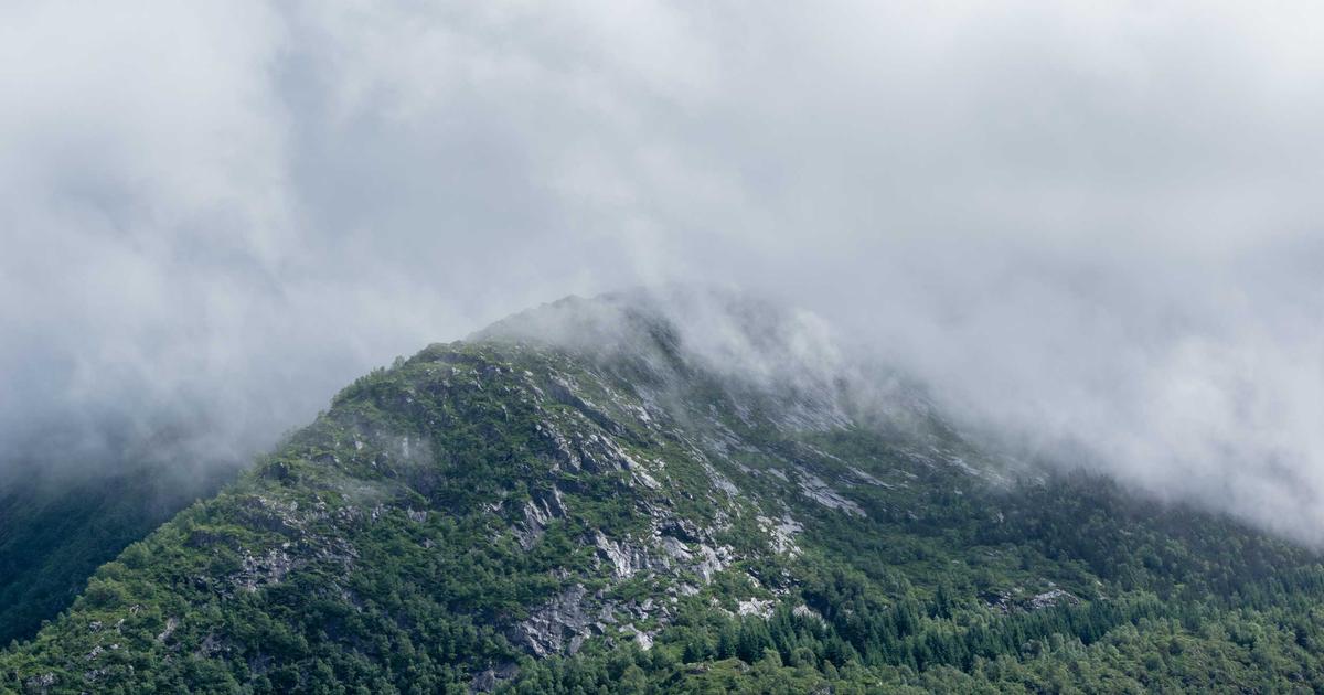 2024 Sera Teknolojilerindeki Gelişmeler