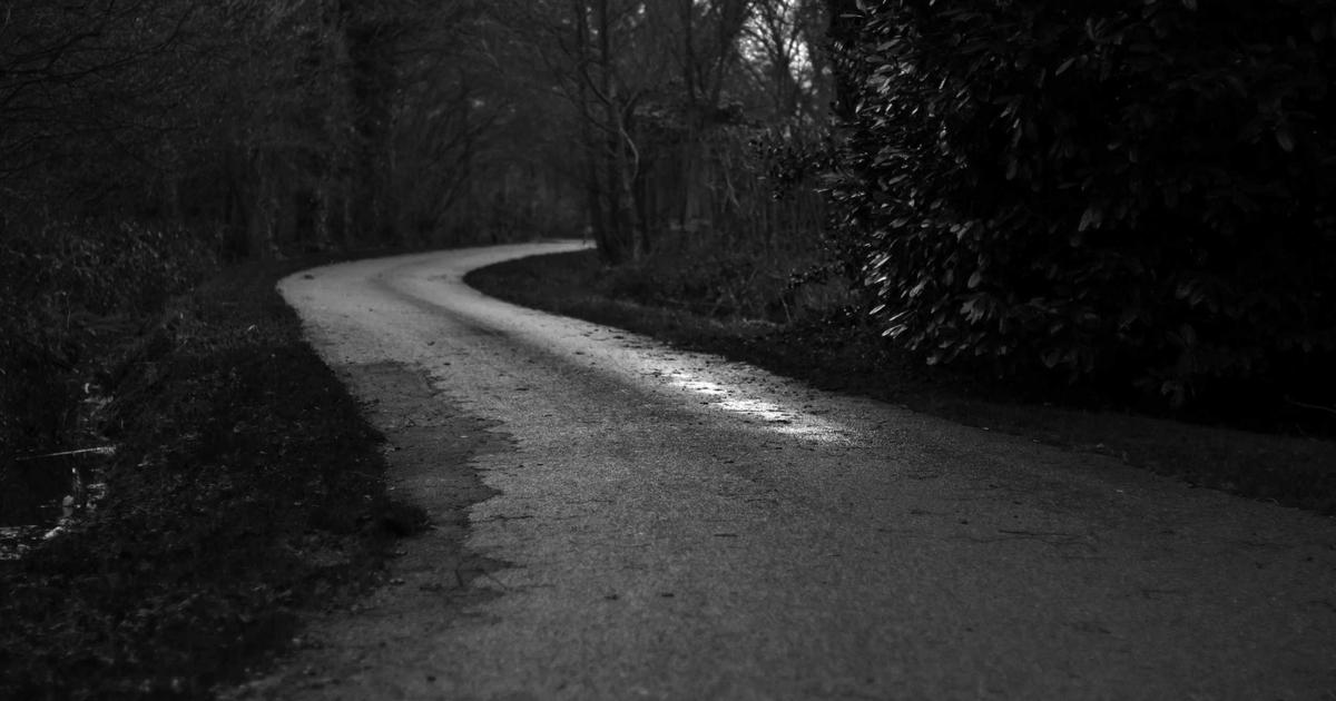 Evde Hidroponik Bahçe Kurma Rehberi