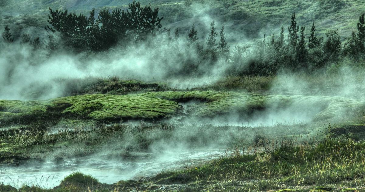 Türkiye'de Topraksız Tarımın Geleceği